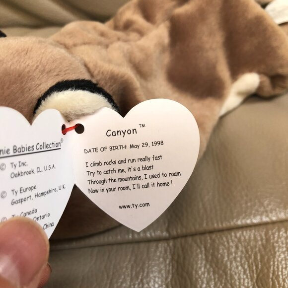 Ty Beanie Baby Canyon the Cougar - NWT - Picture 2 of 2